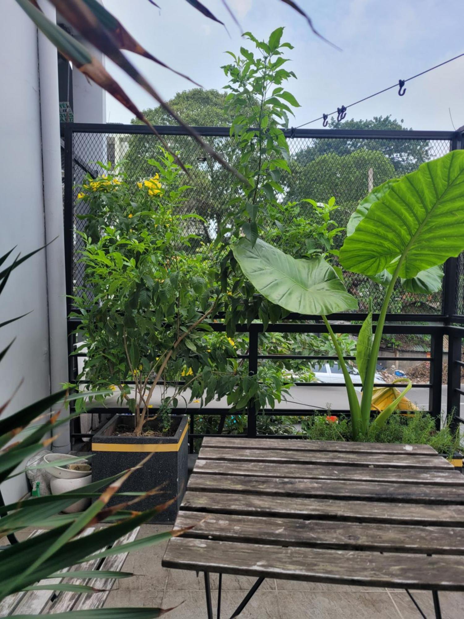 Agk House - Homestay - 406 Xo Viet Nghe Tinh, P25, Binh Thanh, Gan Nga 4 Hang Xanh Ho Chi Minh-staden Exteriör bild
